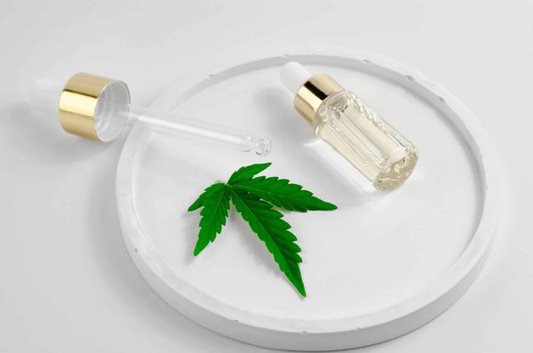 Quels sont les avantages et les usages d'une plante thérapeutique pour la santé et le bien-être ?