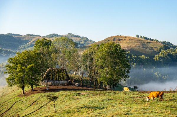 Quelles activités nature peut-on pratiquer autour d'un cottage ?